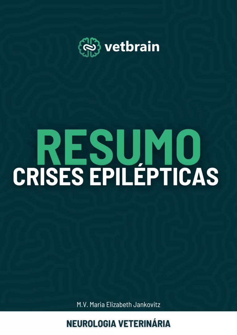 capa resumo 1