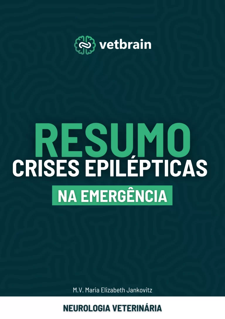 capa resumo 3