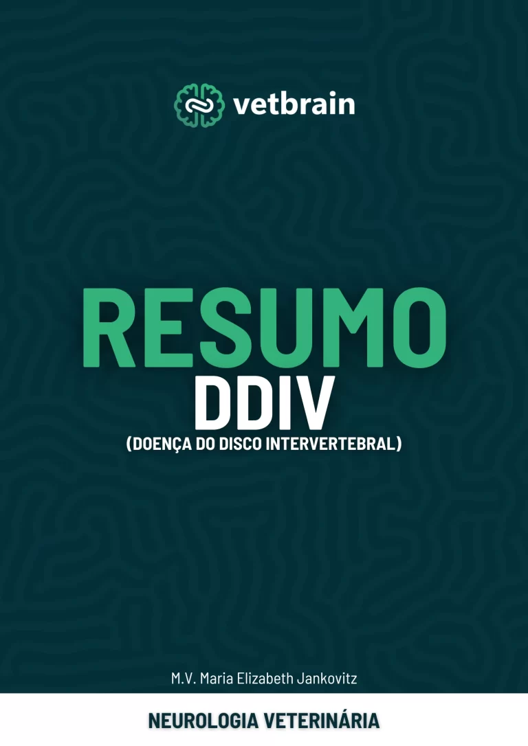 capa resumo 6