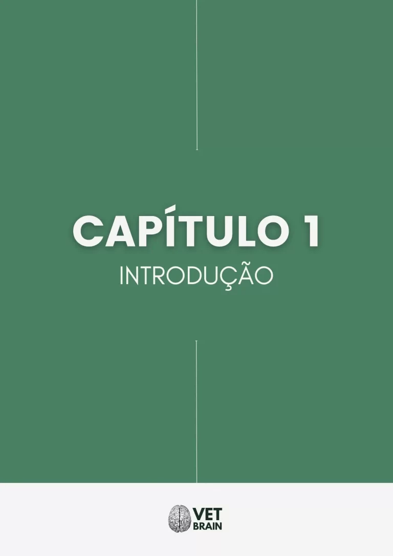 ebook do zero ao R1 - AMOSTRA_page-0004