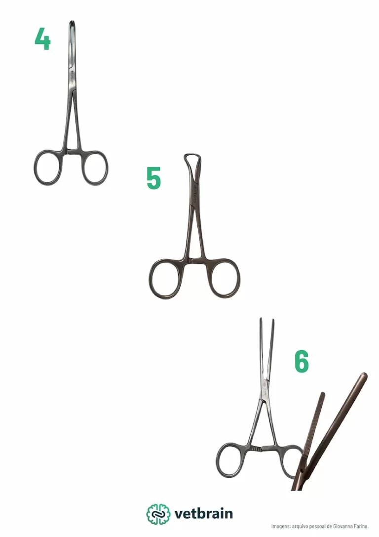 AMOSTRA DA APOSTILA DE CIRURGIA_page-0017